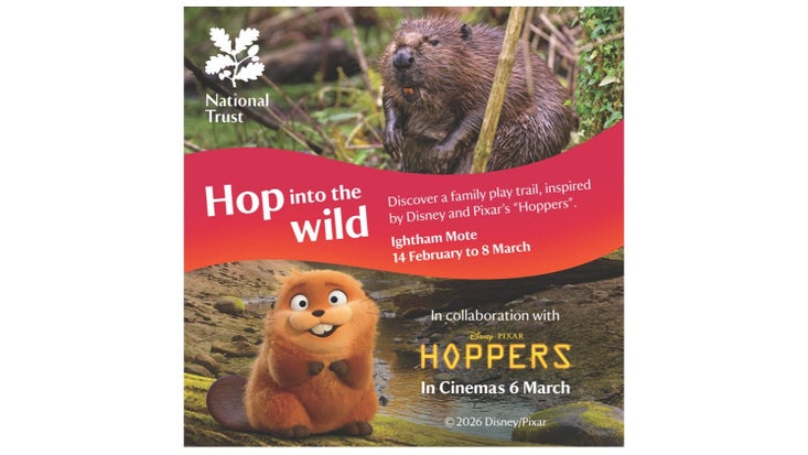 Photo of a dark brown beaver above an illustration of a beaver character. There is a red band across the middle with 'Hop into the wild' written on it.
